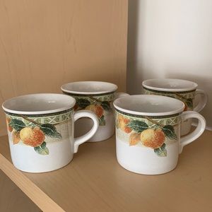 Mikasa Studio Nova Sweet Harvest Flat Cups Y2260 - SET OF 4 - 6oz